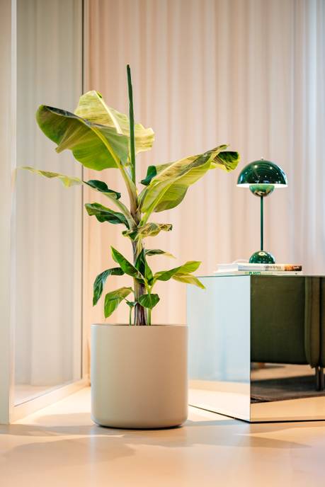 pure cilinder wheels 40 greige